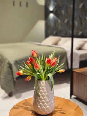 Apartment Tomm by Europa-Park & Rulantica